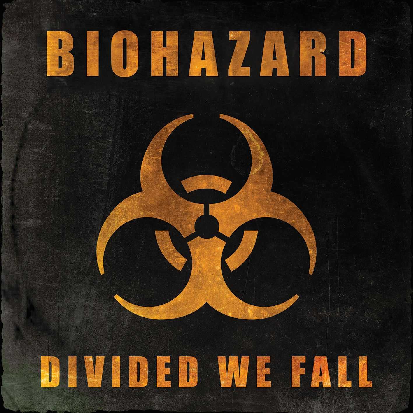 DIVIDED WE FALL