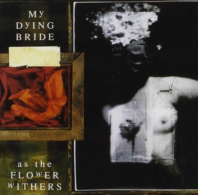 AS THE FLOWER WITHERS