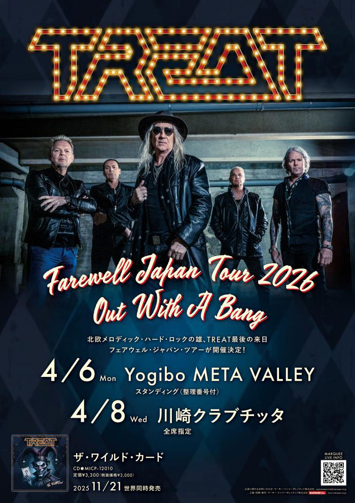 X JAPAN 初回限定版3BOX ツアーパンフレット チラシ等 X JAPAN 初回